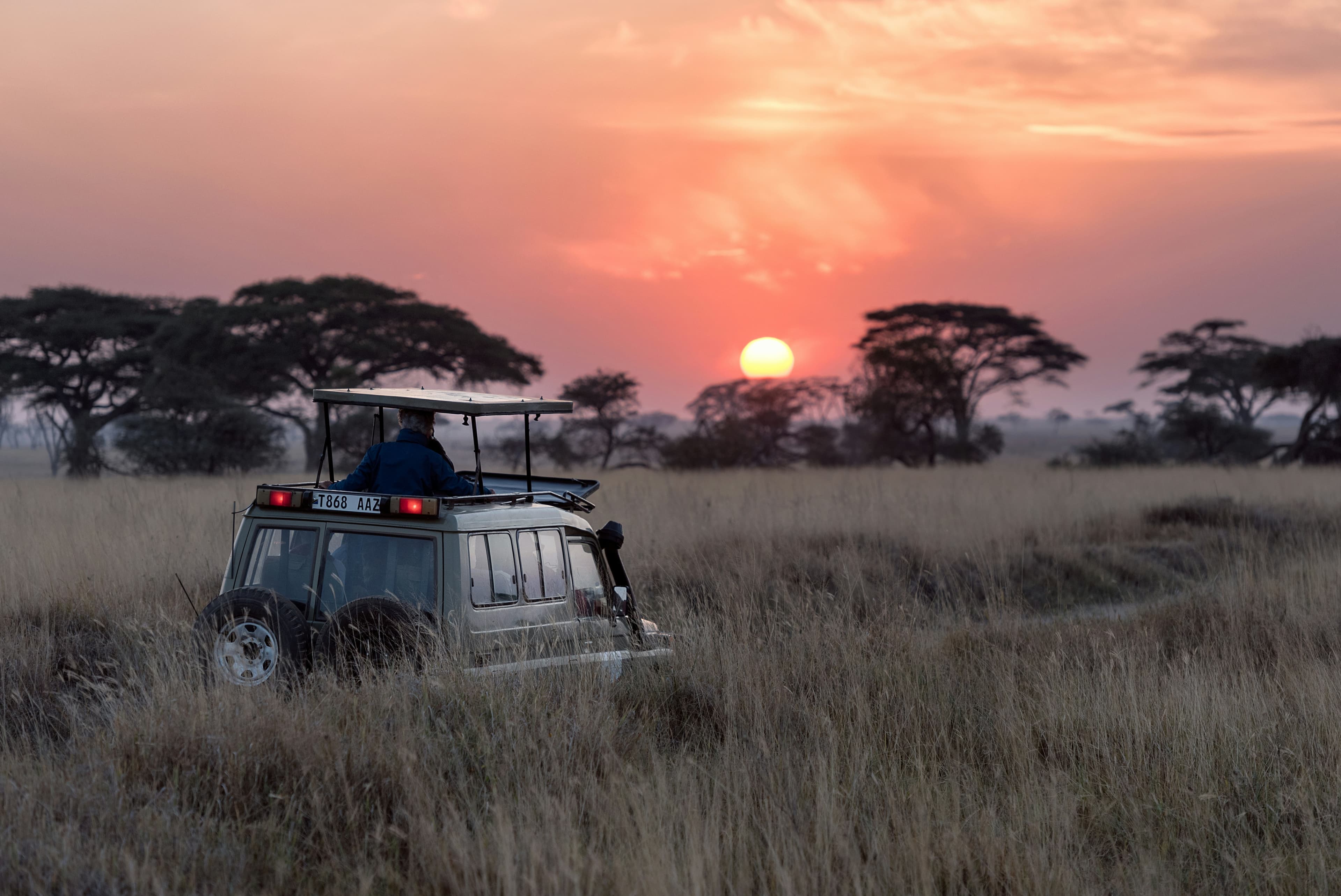 Safari Abenteuer